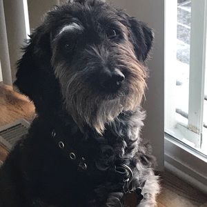 Meet your Posher, Thomas